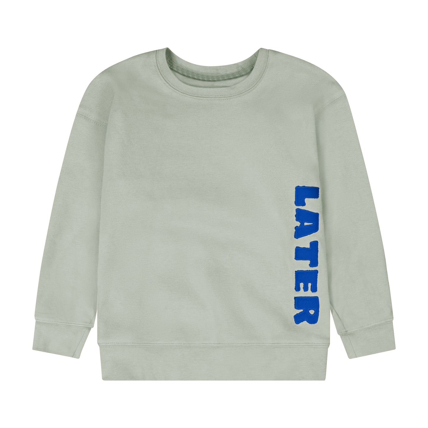 Later Sweatshirt Blue