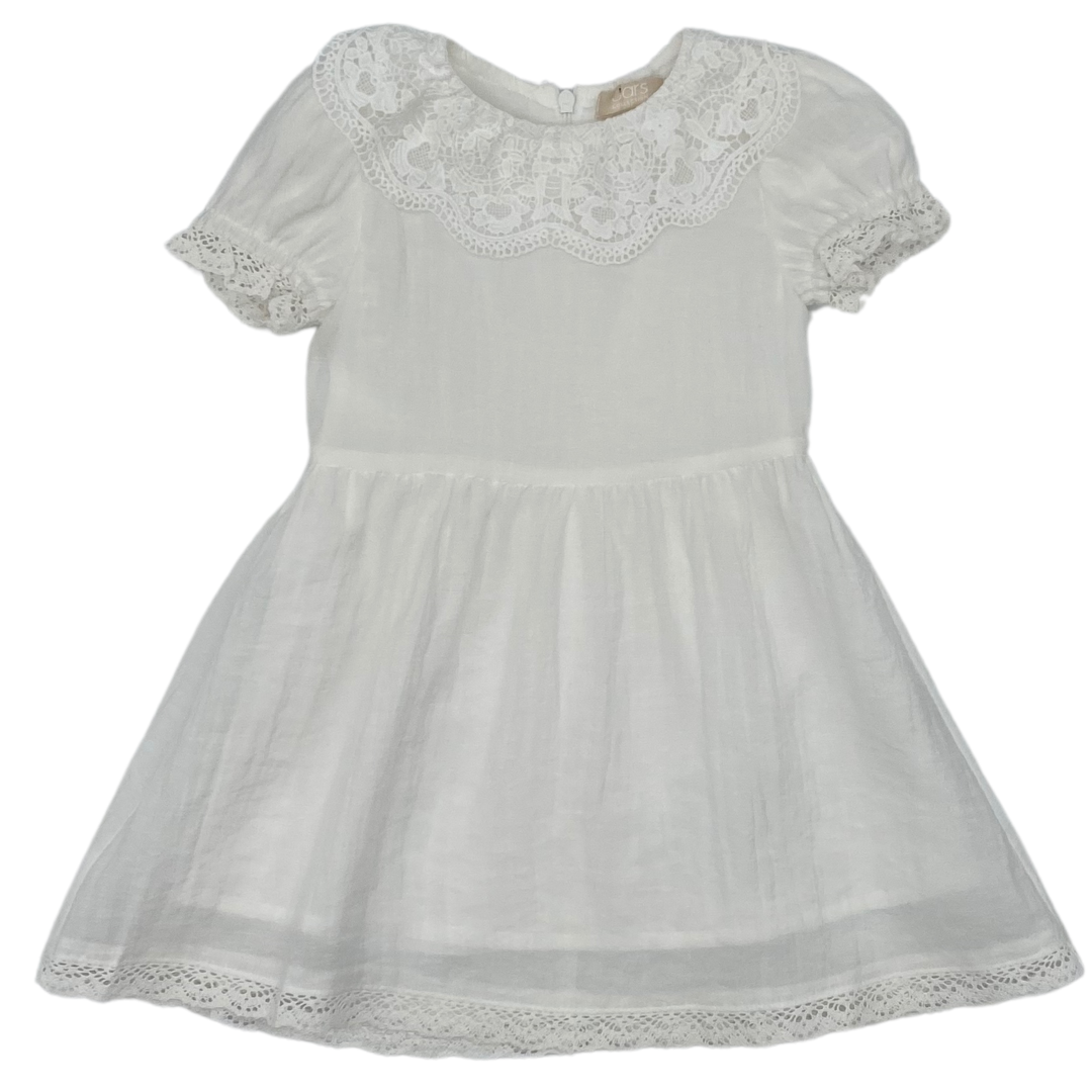 Lace Collar Dress